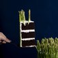 Asparagus Cake [April Fool's Edition] | Customised Cake Singapore | Baker's Brew 