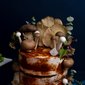 Mushroom Cake [April Fool's Edition] | Customised Cake Singapore | Baker's Brew 