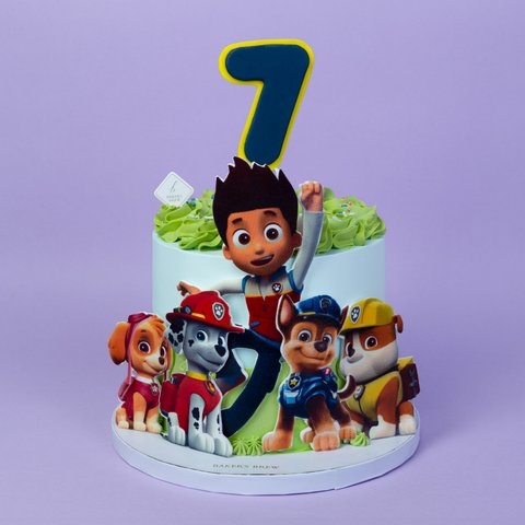 Paw Patrol Cartoon Kids Cake