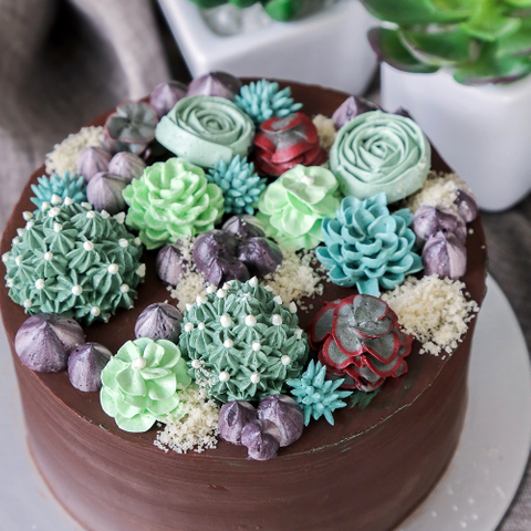 Succulent Garden Cake Decorating Class 3 (New)