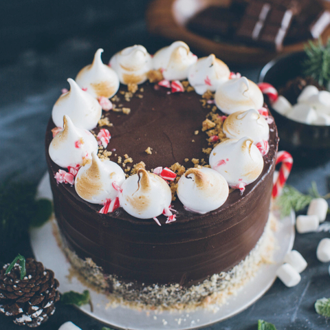 Peppermint Smores Cake (Christmas Special)